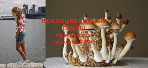 кокс Алексин