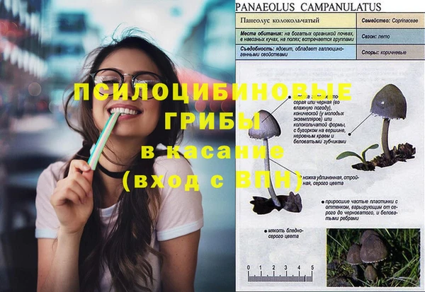 спайс Алексеевка