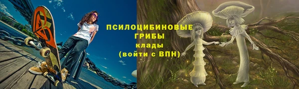 кокс Алексин
