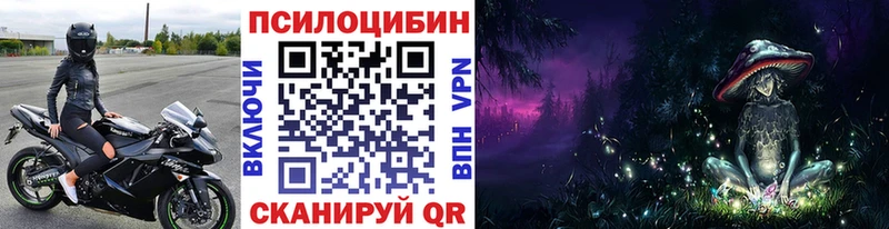 Галлюциногенные грибы Cubensis  KRAKEN   Тосно 